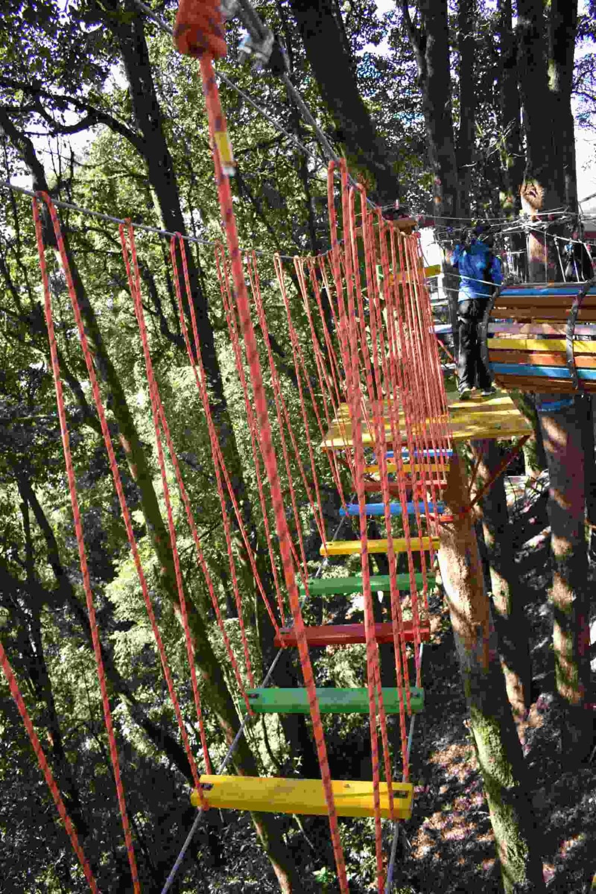 Tree Top Rope Course – Himalayan Mountaineering Institute