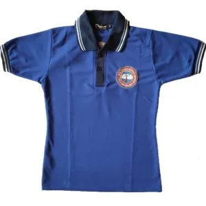 Blue T-Shirt